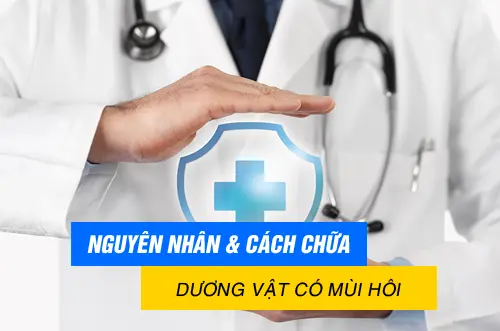 Nguyên nhân và cách chữa trị dương vật có mùi hôi